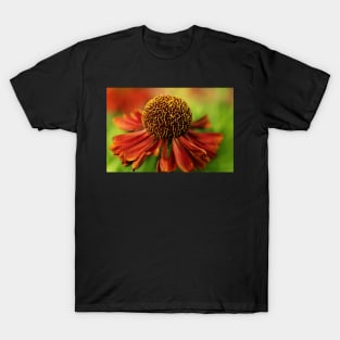 Sneeze Weed II T-Shirt